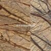 rainforest antique marble