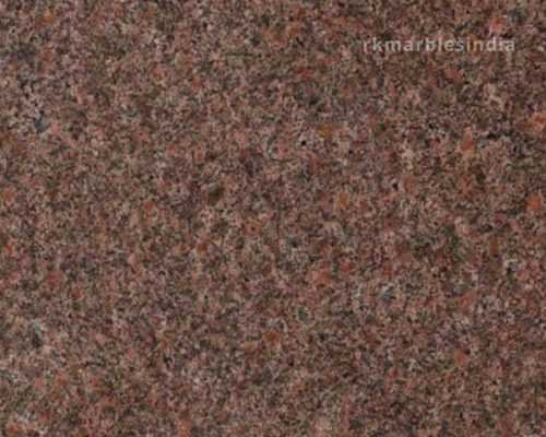 Z brown (North India Granite)