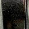 Black Galaxy Golden Star Granite