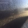 Black Lappato Granite
