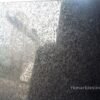 Black Lappato Granite