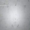 Bliss White Marble Tiles
