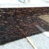 Brazil Brown Granite