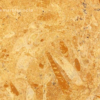 Flowery Gold Sandstone