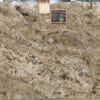Gold Dunes Granite