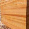 Teakwood Sandstone