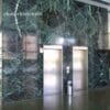 spider green marble