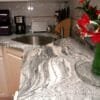Viscon White Granite